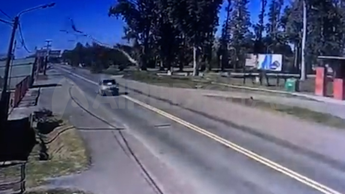 Ruta Nacional N° 11: captura del video del momento en que cae el árbol