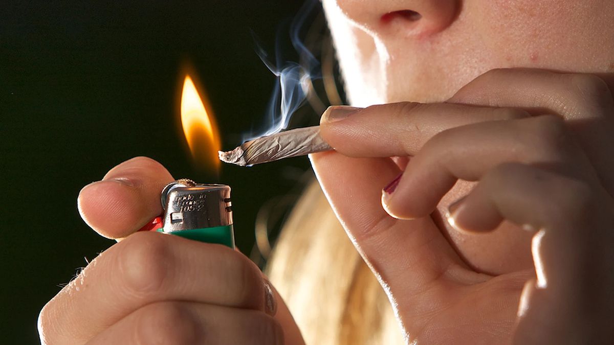 Investigadores canadienses encontraron tasas más altas de inflamación de las vías respiratorias y enfisema entre los fumadores habituales de cannabis. 