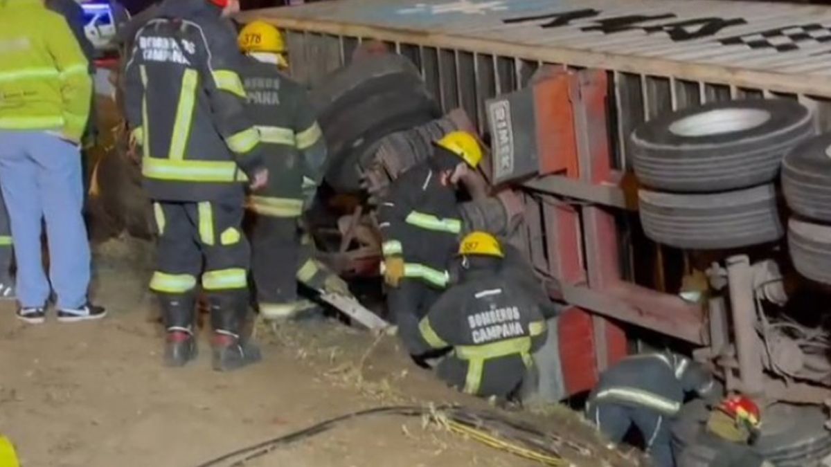Tragedia en la Panamericana: un camión volcó sobre un auto y murió una nena de 9 años