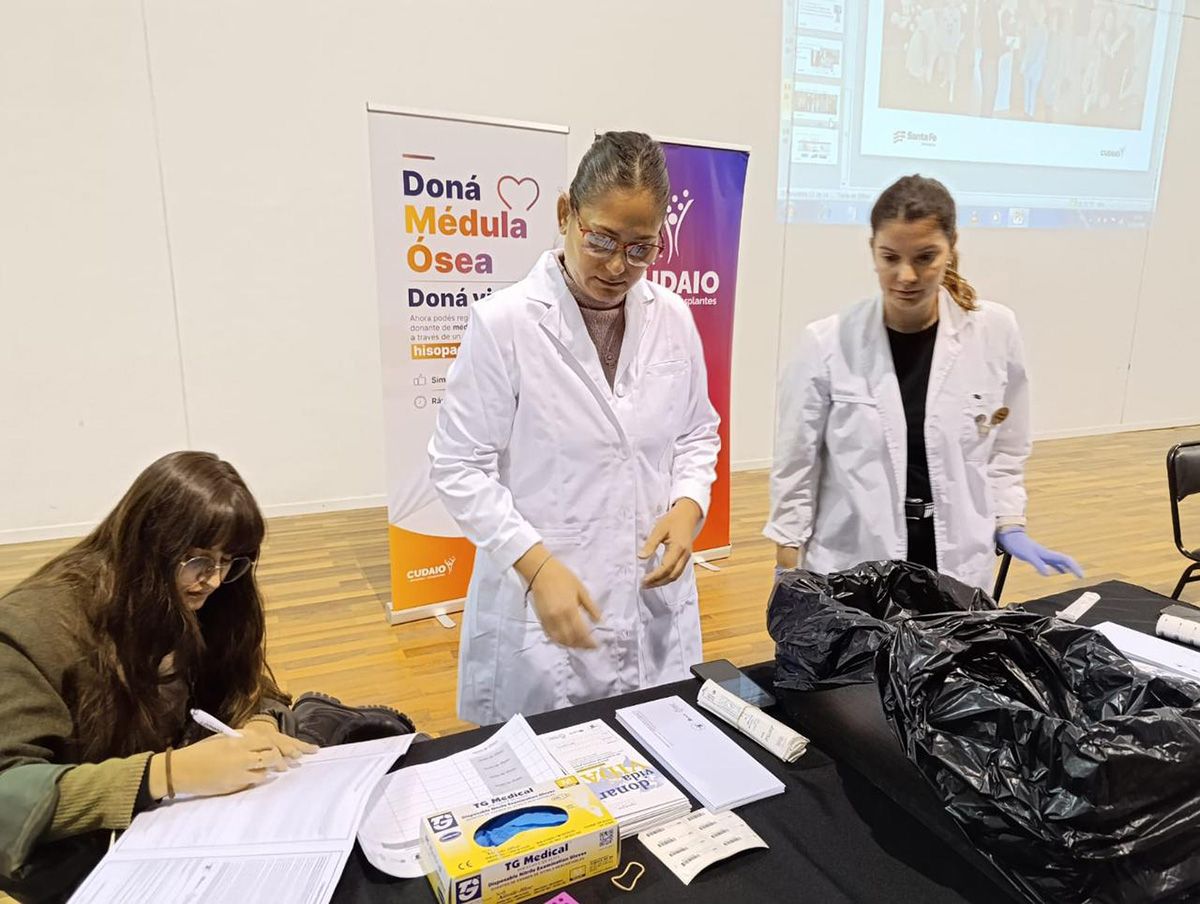 El trasplante de médula ósea se emplea como tratamiento de la leucemia y otras patologías de la sangre.