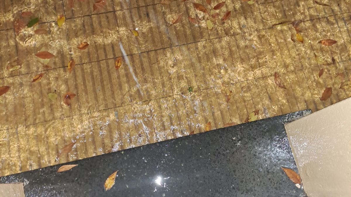 En Las Heras 4500 el agua llega a las puertas de las casas En Las Heras 4500 el agua llega a las puertas de las casas