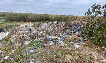 Botellas, cajas y neumáticos viejos contaminan la zona de bañados en el oeste de la ciudad de Santa Fe y son un problema para la salud pública. Botellas, cajas y neumáticos viejos contaminan la zona de bañados en el oeste de la ciudad de Santa Fe y son un problema para la salud pública.