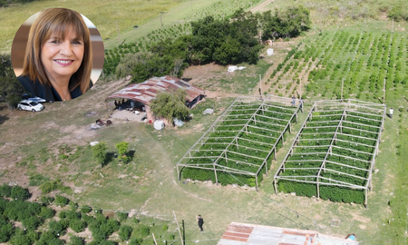 Patricia Bullrich destacó el trabajo periodístico de AIRE en el vivero narco de Arroyo Leyes. Patricia Bullrich destacó el trabajo periodístico de AIRE en el vivero narco de Arroyo Leyes.
