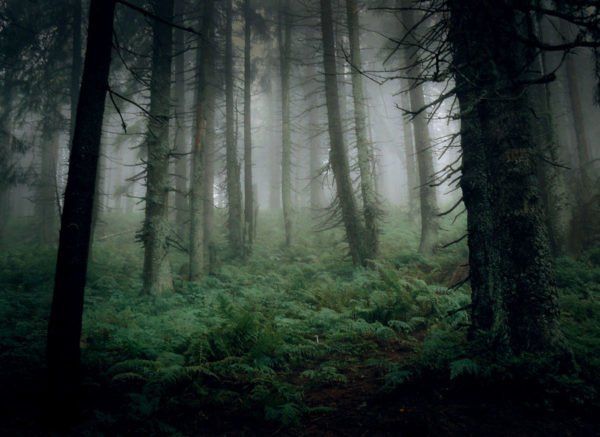 Mitos y Leyendas de México: La bruja de Xáltocan