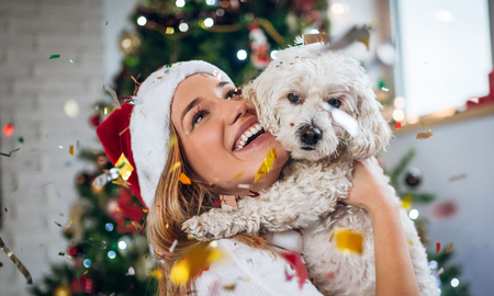 Cómo reducir el estrés de las mascotas estas fiestas Cómo reducir el estrés de las mascotas estas fiestas