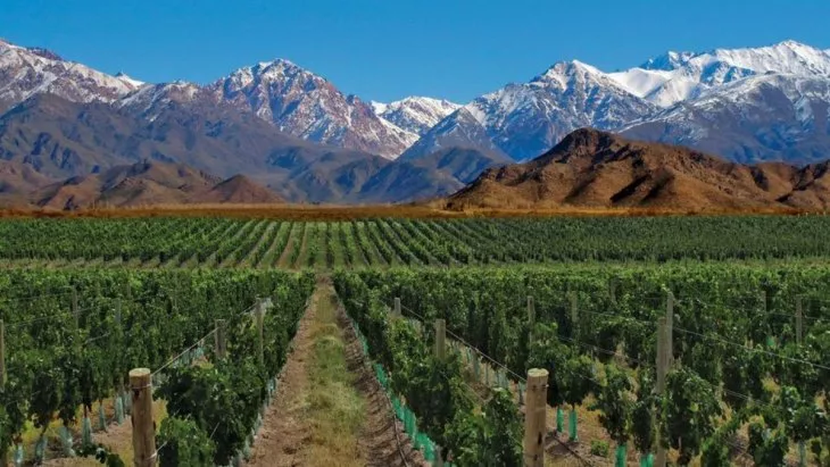 10 excursiones para hacer en Mendoza