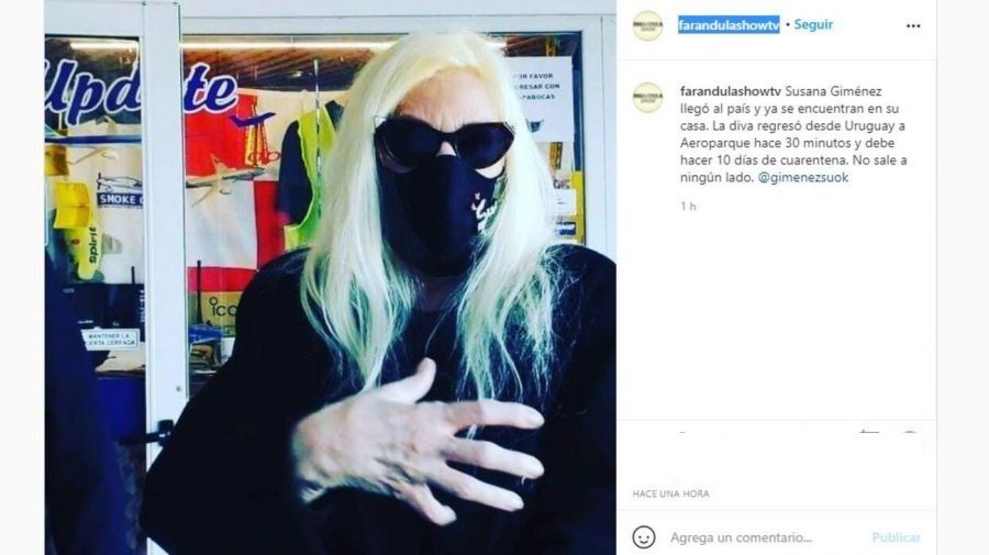 Susana Giménez volvió al país en un vuelo privado