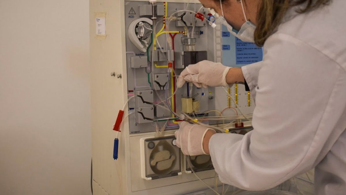 Las máquinas de plasmaféresis separan el plasma de los componentes celulares.