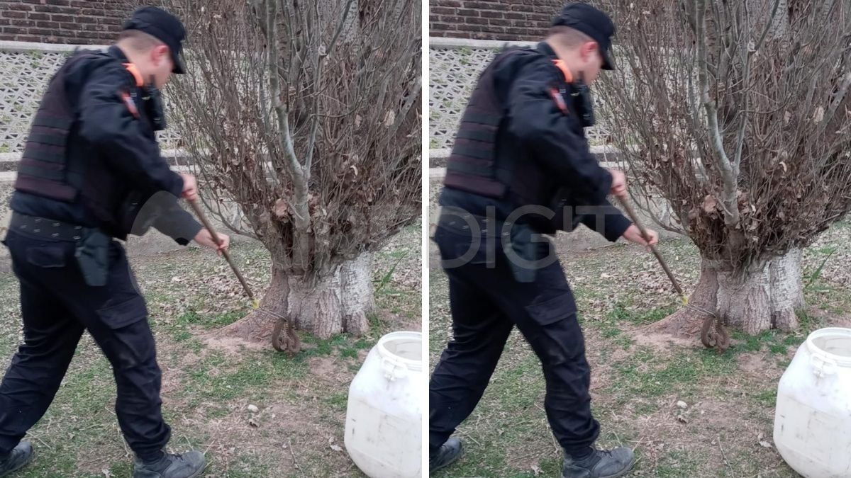 Efectivos de la Sección Ecológica rescataron una yarará