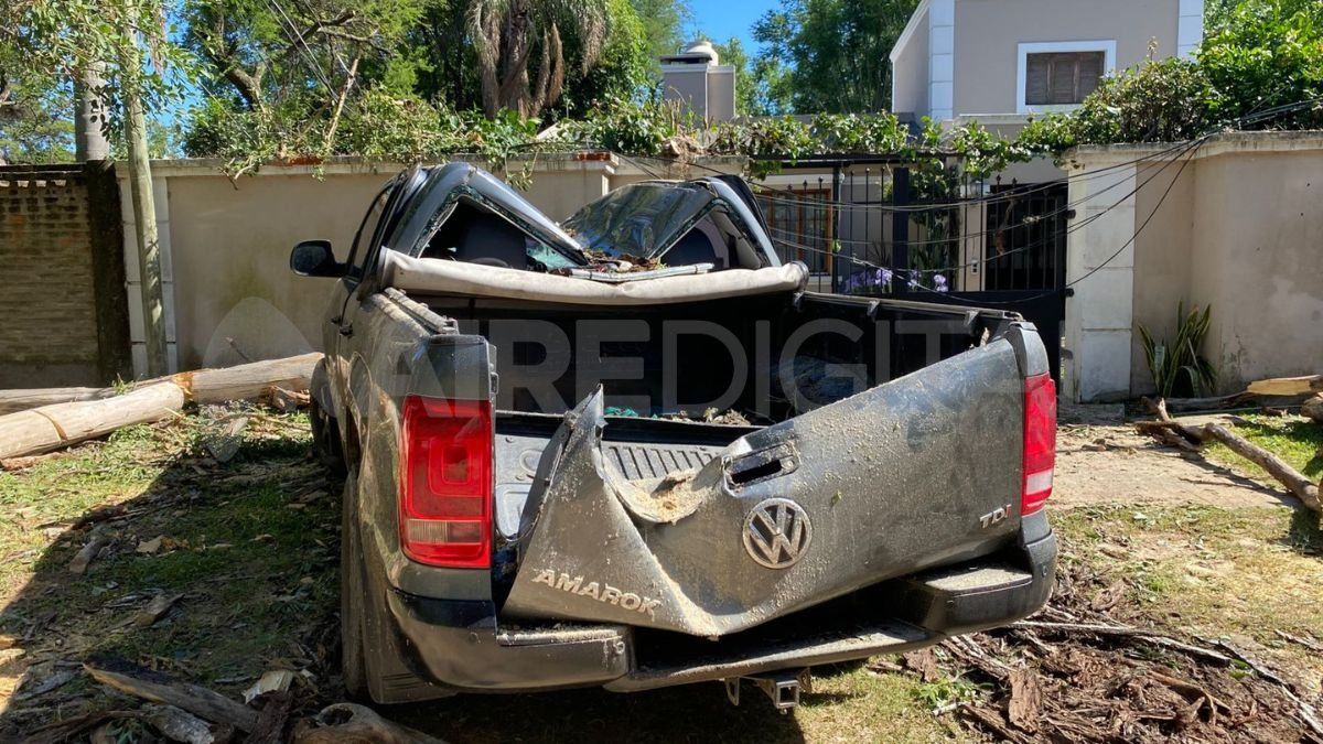 Un árbol cayó sobre una camioneta en Colastiné Norte