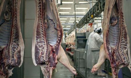 El incremento está acompañado por un récord en el nivel de consumo nacional de casi 18kg per cápita anual. El incremento está acompañado por un récord en el nivel de consumo nacional de casi 18kg per cápita anual.