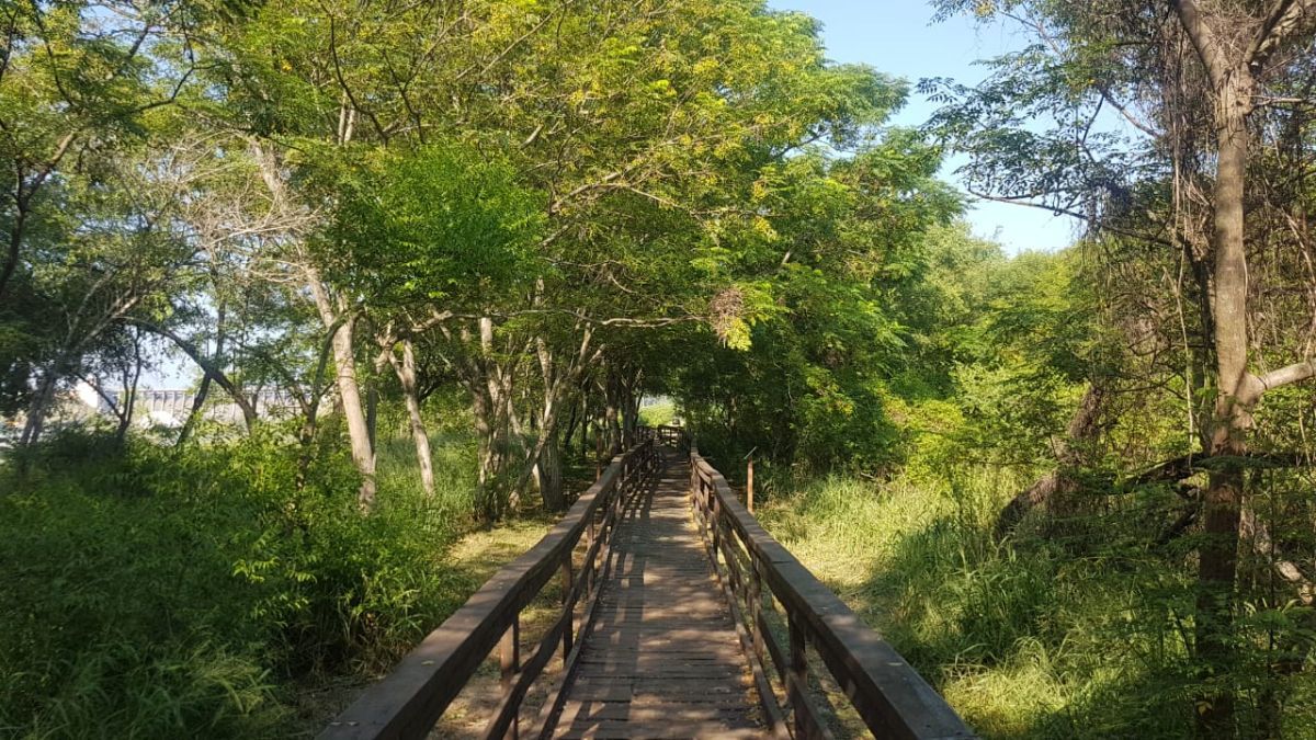 Un recorrido que revela la biodiversidad ribereña del Río Dulce