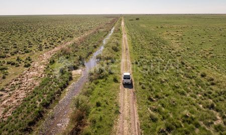 Los campos de los bajos están llenos de espartillos y tucurús, y tienen suelos salinos. Los campos de los bajos están llenos de espartillos y tucurús, y tienen suelos salinos.