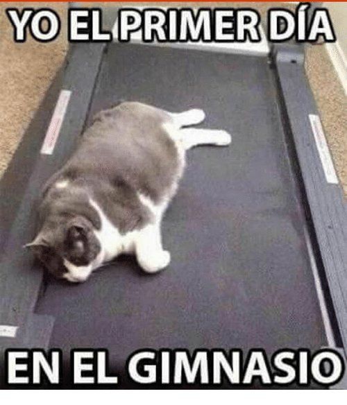 16 Memes que te harán llorar de risa si te inscribiste en el gimnasio