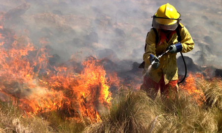 Los incendios arrasaron con más de 700.000 hectáreas en el Delta y también fueron muy severos en Córdoba, Entre Ríos y Río Negro, entre otras provincias. Los incendios arrasaron con más de 700.000 hectáreas en el Delta y también fueron muy severos en Córdoba, Entre Ríos y Río Negro, entre otras provincias.