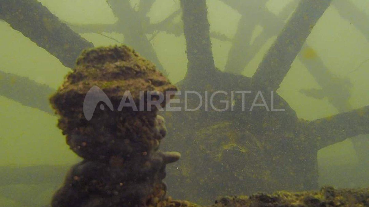 Registros del barco hundido a principios del siglo XX.