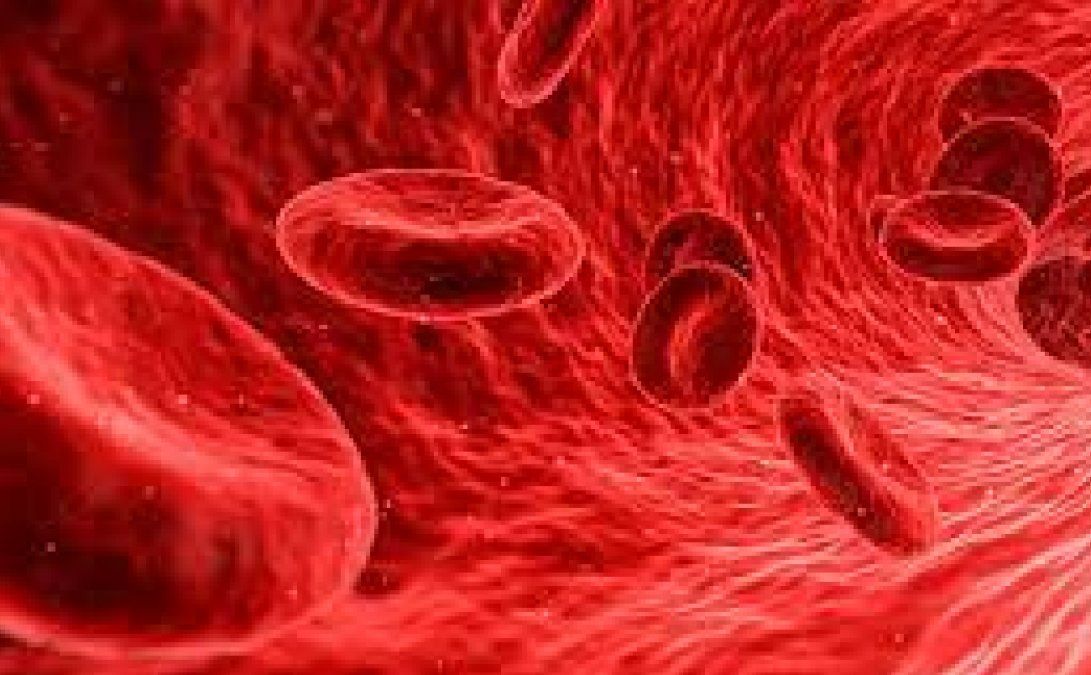 El superalimento que mejora la circulación sanguínea