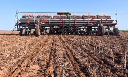 estiman que la compactacion ya afecta al 50% de los suelos agricolas: como revertirlo estiman que la compactacion ya afecta al 50% de los suelos agricolas: como revertirlo