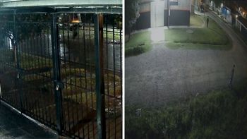 Hechos de inseguridad ponen en jaque la seguridad de barrio La Esmeralda norte: quedaron registrados en cámaras de seguridad de los vecinos.