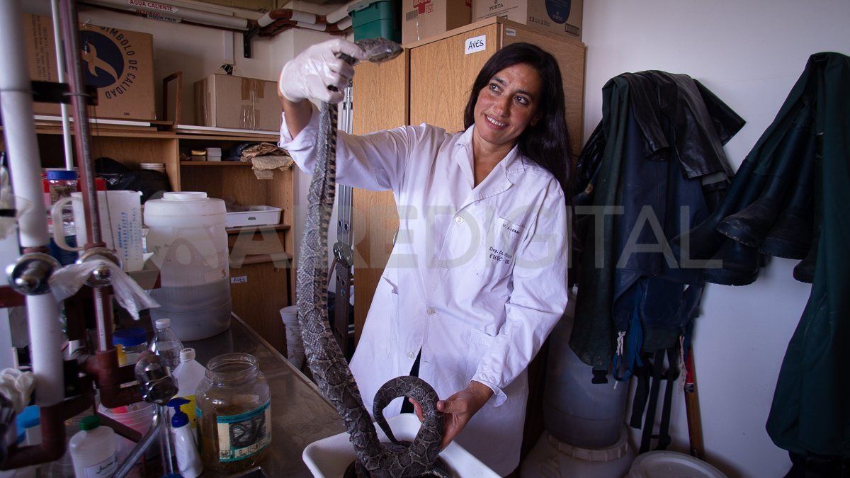 Vanesa Arzamendia es doctora en ciencias biológicas y es licenciada en biodiversidad. Se define como una apasionada de la biología.&nbsp;