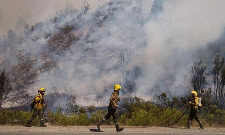 El gobernador Weretilneck firmó el decreto, que apunta a prevenir los incendios forestales. El gobernador Weretilneck firmó el decreto, que apunta a prevenir los incendios forestales.