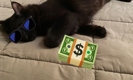 Su gato sale de casa y le roba miles de pesos al vecino: Se me cae la cara de vergüenza Su gato sale de casa y le roba miles de pesos al vecino: Se me cae la cara de vergüenza