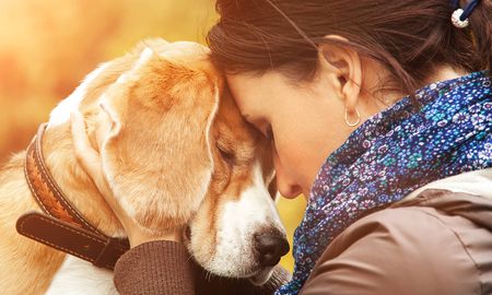 consejos para cuidar a perros y gatos durante la cuarentena consejos para cuidar a perros y gatos durante la cuarentena