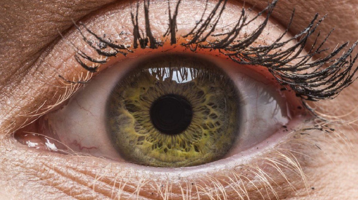 Ver para creer: 9 curiosidades sobre el ojo humano