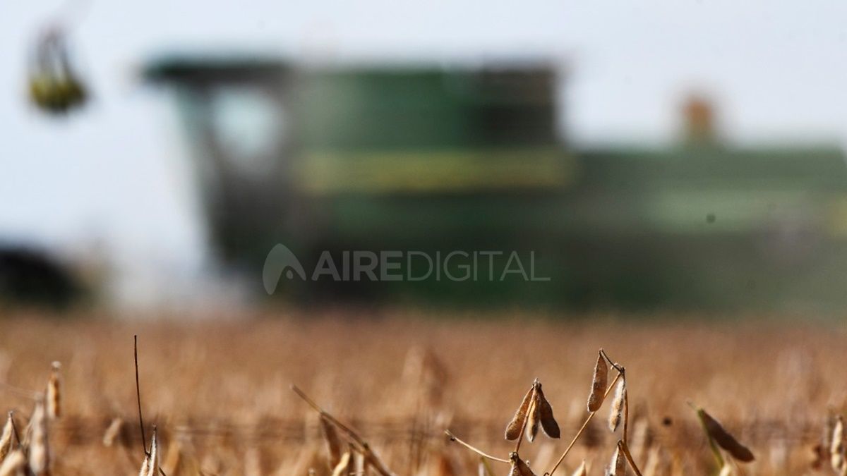 El saldo exportable de trigo para la 2021-2022 próximo a sembrarse podría alcanzar un máximo histórico en términos de valor, y Argentina aumentaría su participación en el mercado global.