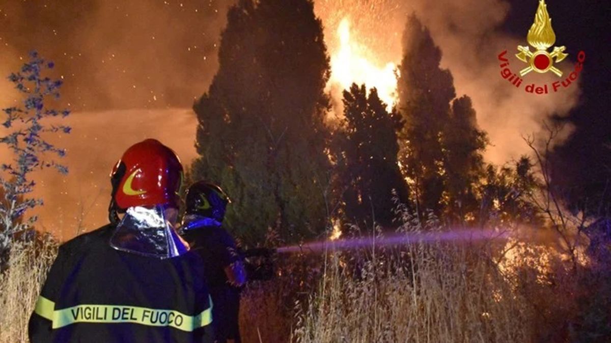 Un hombre de 77 años murió en Calabria, cerca de Regio, a consecuencia de las quemaduras que sufrió al intentar salvar a su rebaño.