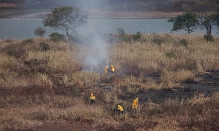 Así se combaten los focos ígneos en el Delta del Paraná. Así se combaten los focos ígneos en el Delta del Paraná.
