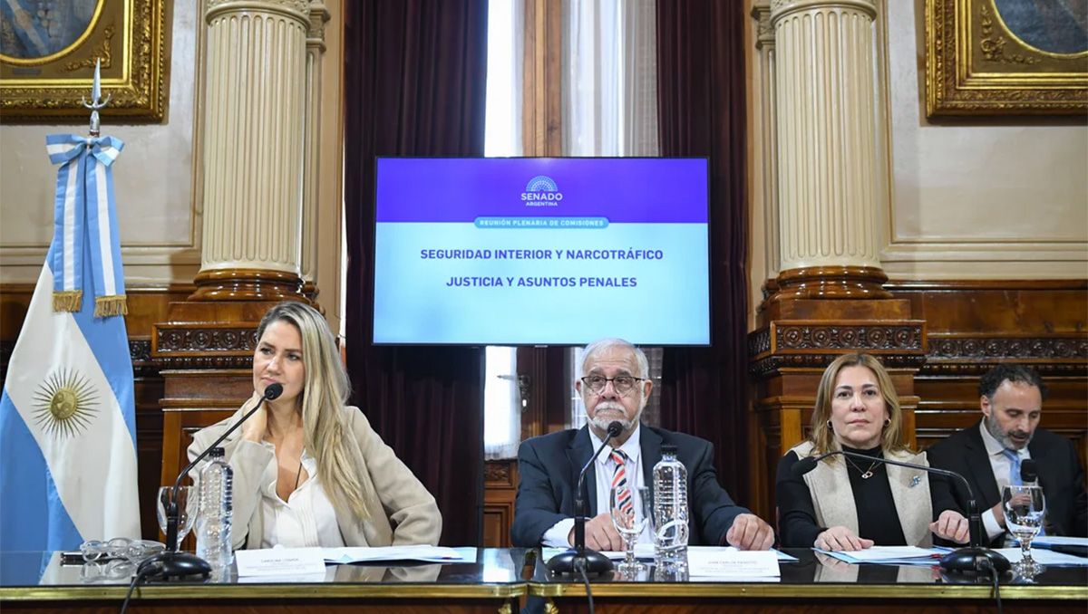 El plenario de comisiones del Senado Nacional fue presidido por la santafesina Carolina Losada.