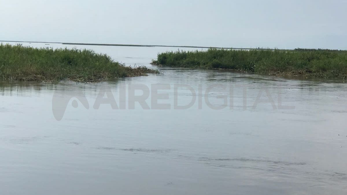 Las tareas de remoción se realizan de lunes a viernes y se interrumpen los fines de semana. Prevén terminar la remoción en unos 15 días.