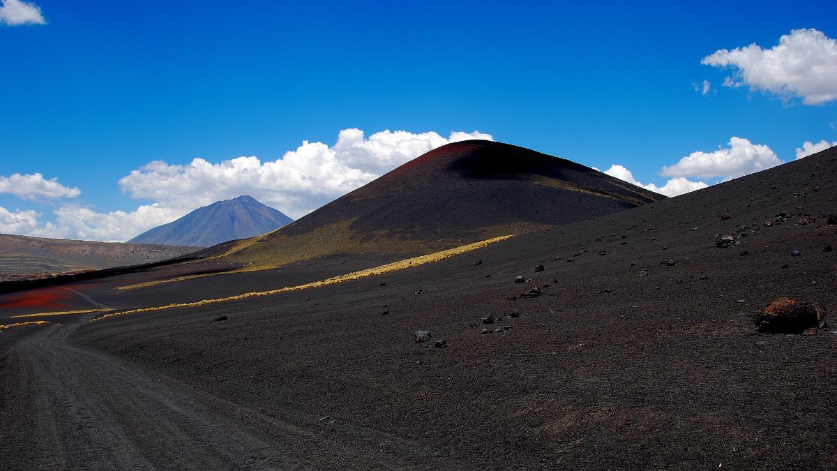 En este ecosistema volcánico vive una fauna tan inesperada como cautivadora. En este ecosistema volcánico vive una fauna tan inesperada como cautivadora.
