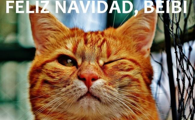 Memes para mandar por WhatsApp en Navidad