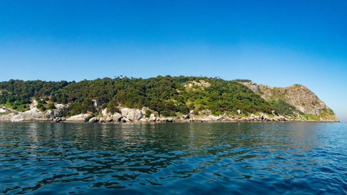 Isla de las Cobras: el lugar más peligroso del mundo y que está prohibido entrar.