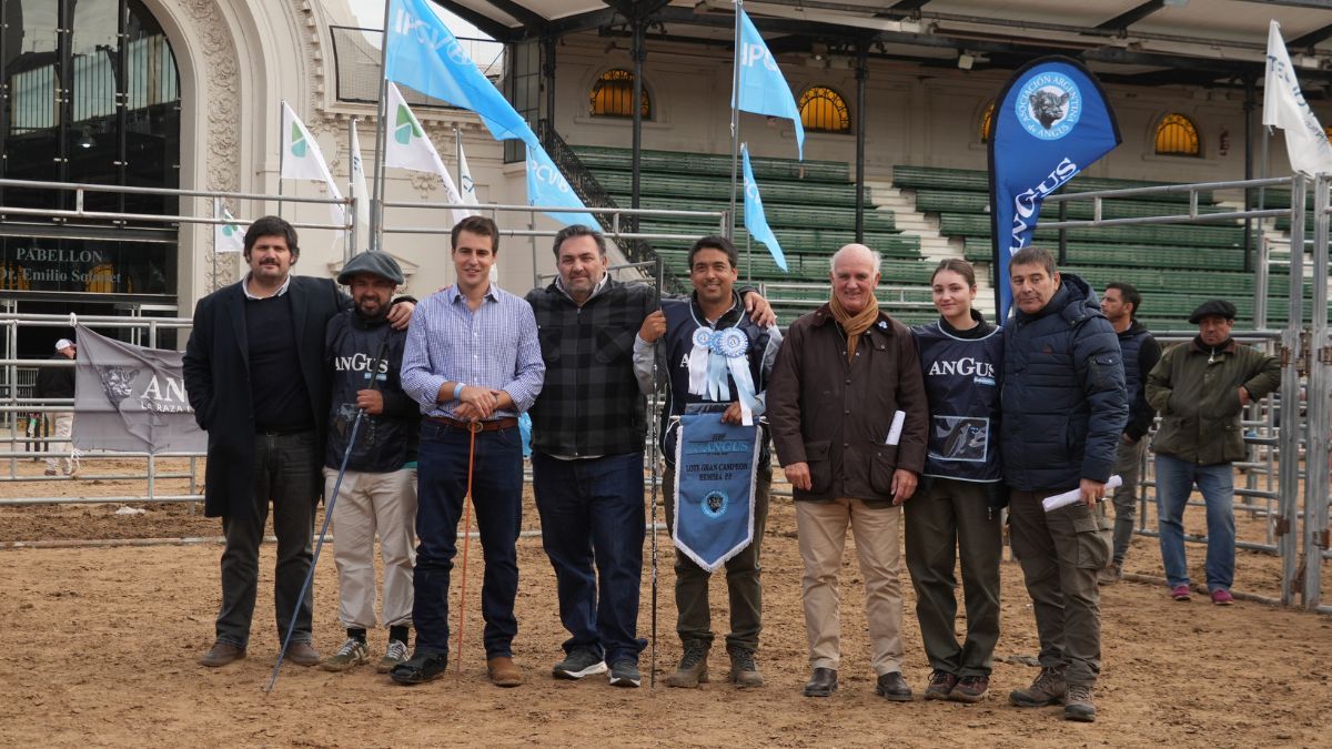 Actualmente, son 590 los ejemplares presentes en el predio ferial de La Rural en Palermo.