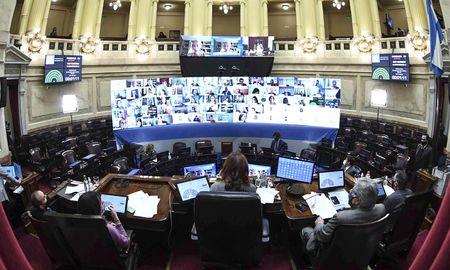 el senado aprobo la designacion como embajadores de alfonsin, patino mayer y capitanich el senado aprobo la designacion como embajadores de alfonsin, patino mayer y capitanich