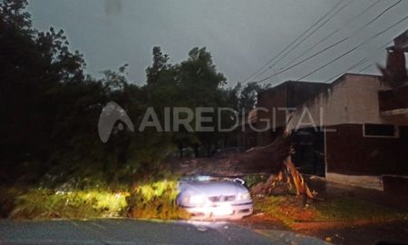 En Vera también hubo daños por la tormenta. Los vecinos están sin luz, informaron a Aire de Santa Fe. En Vera también hubo daños por la tormenta. Los vecinos están sin luz, informaron a Aire de Santa Fe.
