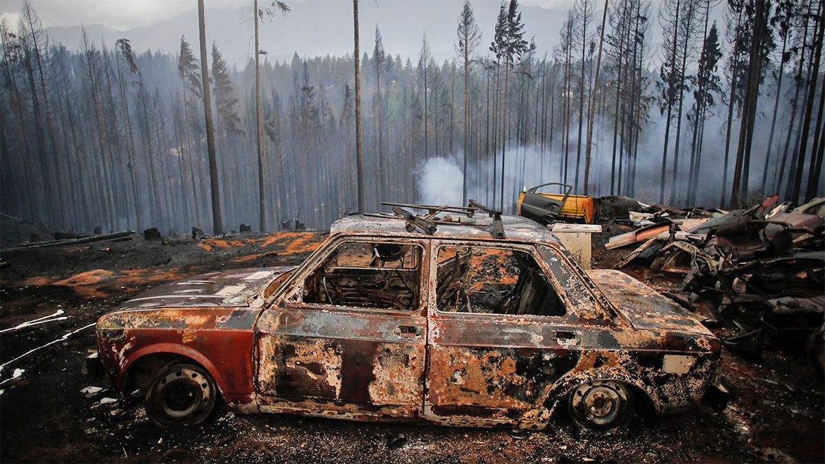Los incendios arrasaron grandes áreas de la patagonia.