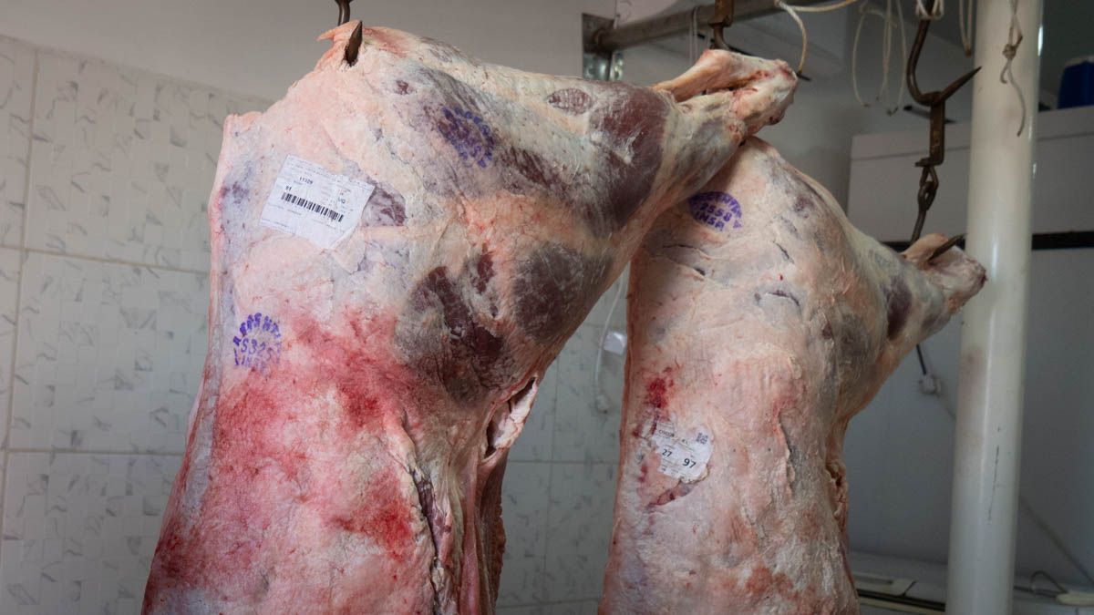 "La carne subió desde octubre un 15%; la realidad es que tendríamos que ir de a poco a los precios internacionales, los precios se van a ir afianzando, no van a bajar y van a seguir subiendo", aseguró Sergio Pedace. "La carne subió desde octubre un 15%; la realidad es que tendríamos que ir de a poco a los precios internacionales, los precios se van a ir afianzando, no van a bajar y van a seguir subiendo", aseguró Sergio Pedace.