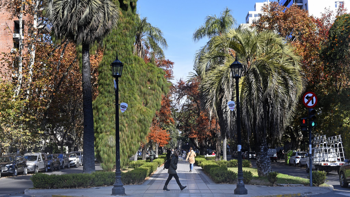 El Bulevar Oroño es la arteria principal de la ciudad de Rosario. El Bulevar Oroño es la arteria principal de la ciudad de Rosario.
