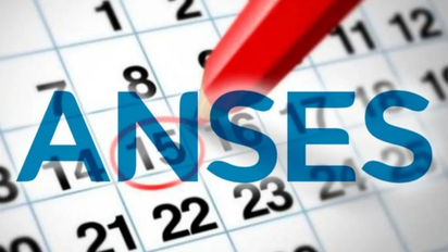 Calendario de pagos ANSES: quiénes cobran hoy miércoles 14 de enero