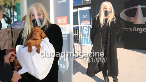 Susana llegó a Buenos Aires con un cachorro en brazos. (Foto: Ciudad Magazine).