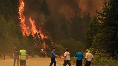 Incendios en la Patagonia: alerta en el Parque Nacional Los Alerces por dos nuevos focos ígneos
