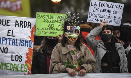 Los incendios en los humedales es uno de los reclamos más importantes. Los incendios en los humedales es uno de los reclamos más importantes.