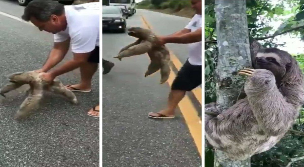 El video recorrió las redes sociales y se volvió viral.&nbsp;