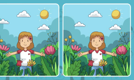 RETO VISUAL nivel PRO: solo el 5% encontró las 3 diferencias ¡en 7 segundos! RETO VISUAL nivel PRO: solo el 5% encontró las 3 diferencias ¡en 7 segundos!