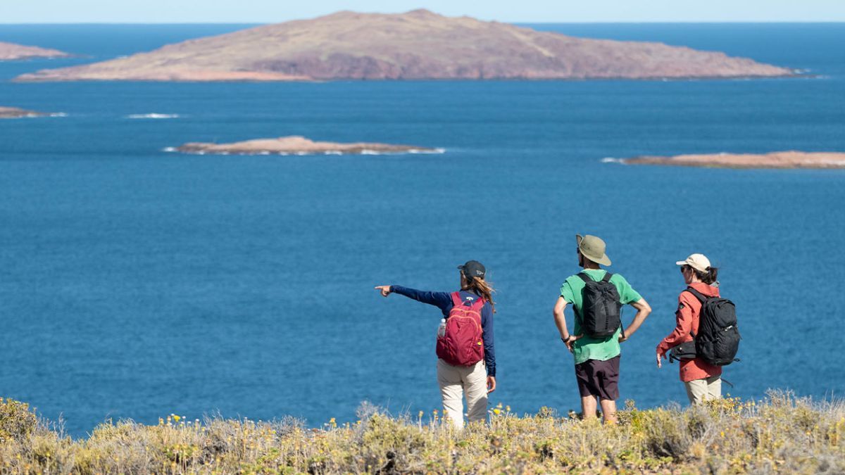 La diferencia de cinco metros verticales en la marea obliga a las anémonas y pequeños peces a refugiarse en pozas de agua temporales hasta que el mar regresa a cubrir la costa.
