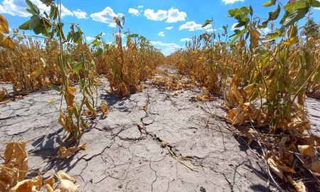 Un informe del Centro de Estudios DEMOS advierte sobre el impacto del cambio climático en la economía argentina. Un informe del Centro de Estudios DEMOS advierte sobre el impacto del cambio climático en la economía argentina.
